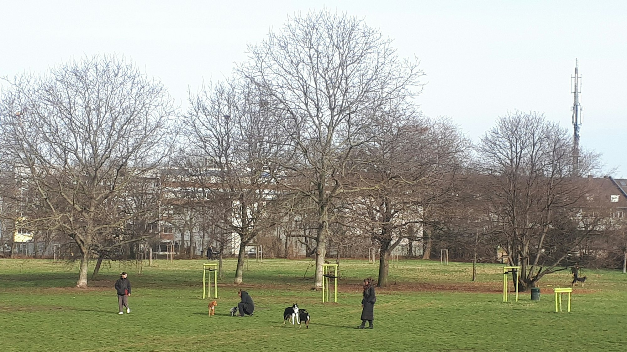 Die Hunde-Freilauffläche, derzeit auf der großen Wiese in der Mitte des Parks, soll ganz in den Süden des Giesbertsparks, nahe der Florastraße, umziehen. (Archivbild)