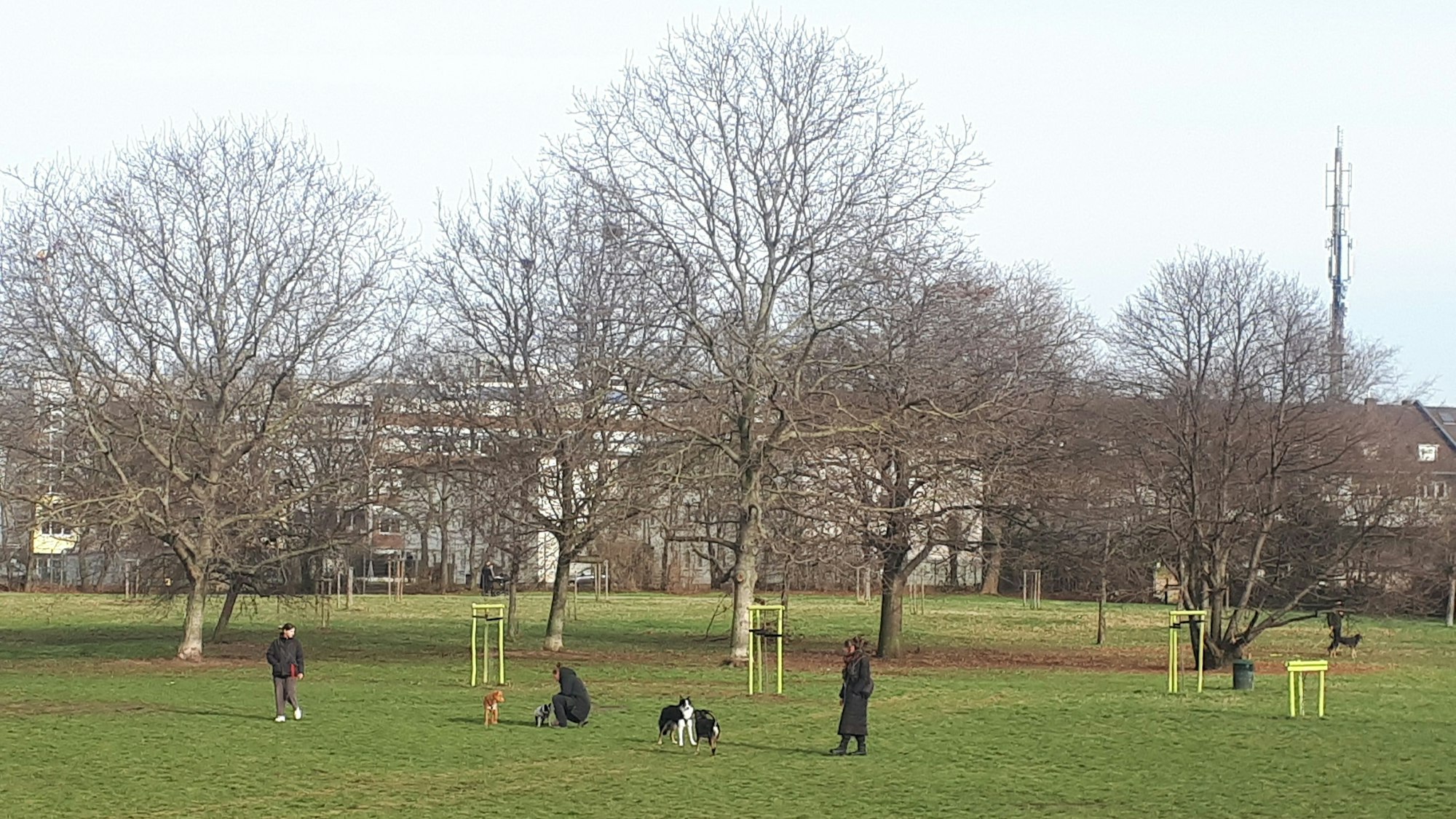 Blick auf die Hundewiese des Johannes-Giesberts-Parks in Nippes, auf der Hunde mit ihren Besitzern stehen. Foto von Bernd Schöneck