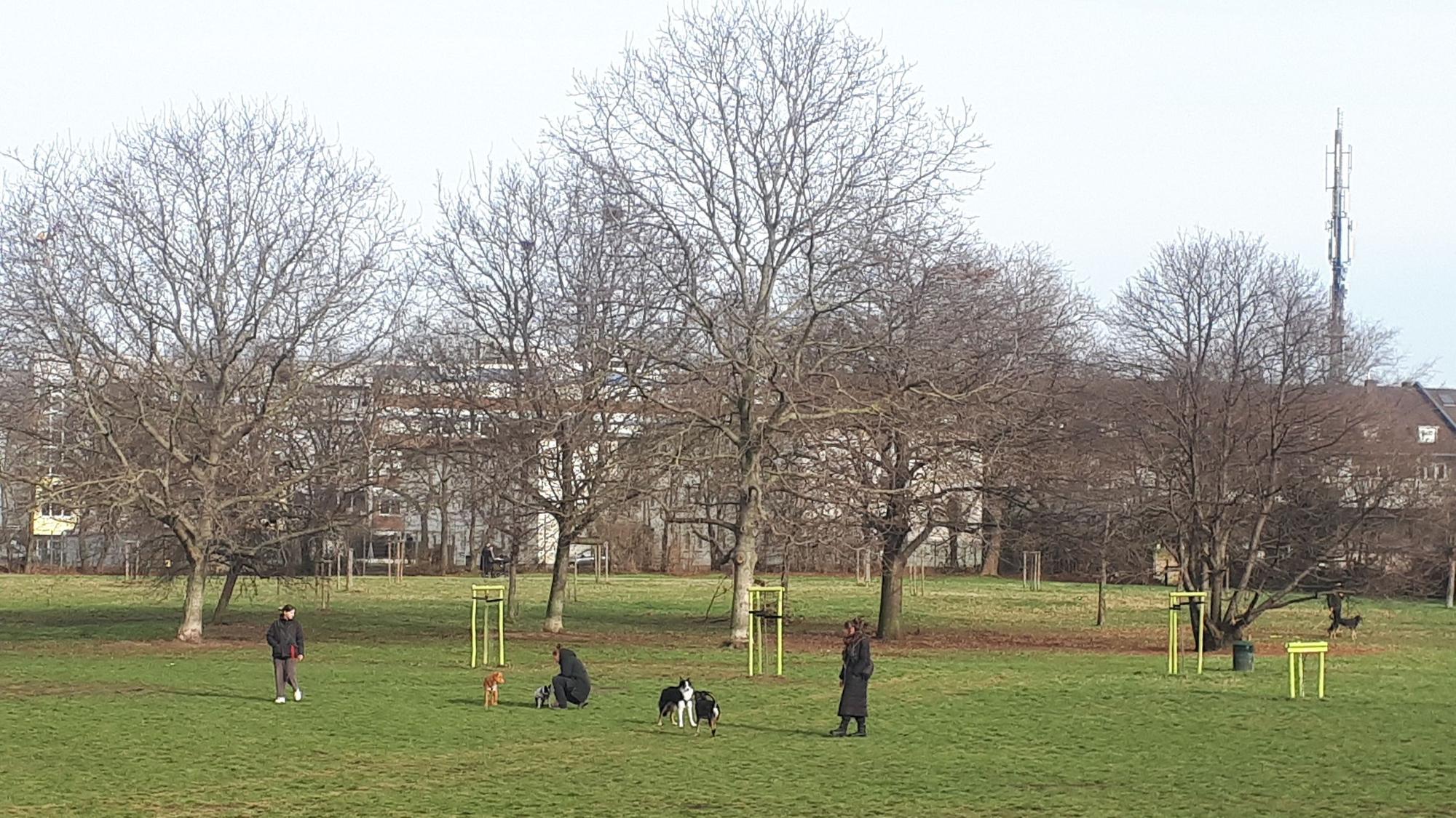 Hundewiese im Johannes-Giesberts-Park