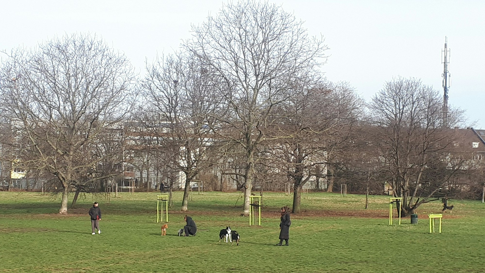 Hundewiese im Johannes-Giesberts-Park
