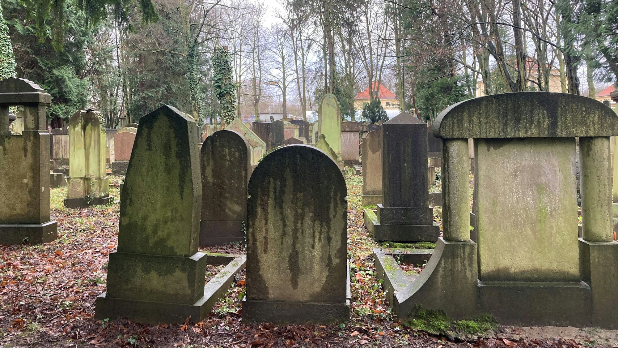 Der jüdische Friedhof in Bocklemünd.