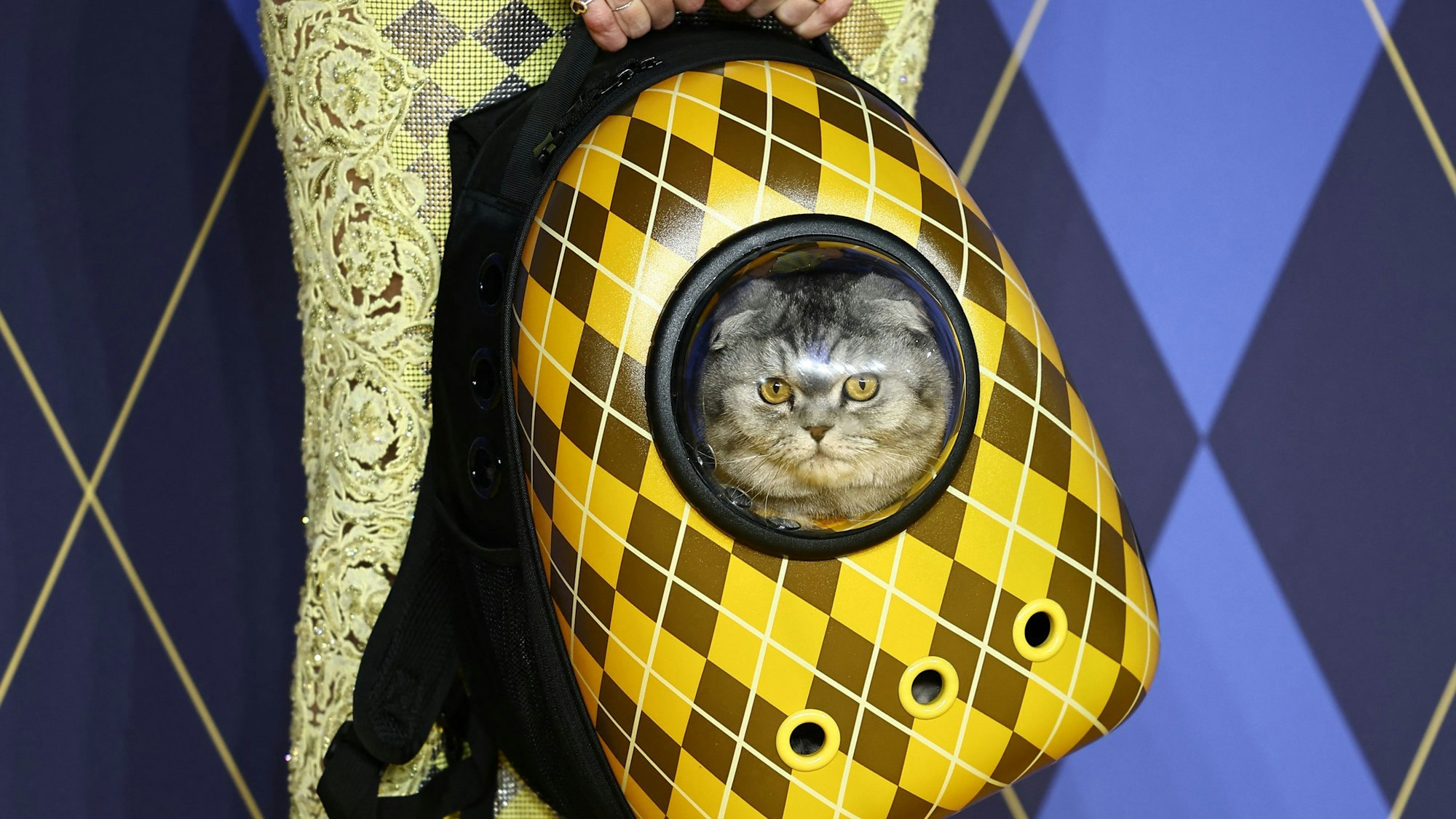 German model Claudia Schiffer holds a cat in a backpack  as she poses on the red carpet upon arrival to attend the world premiere of the film "Argylle" in central London on January 24, 2024. (Photo by HENRY NICHOLLS / AFP)