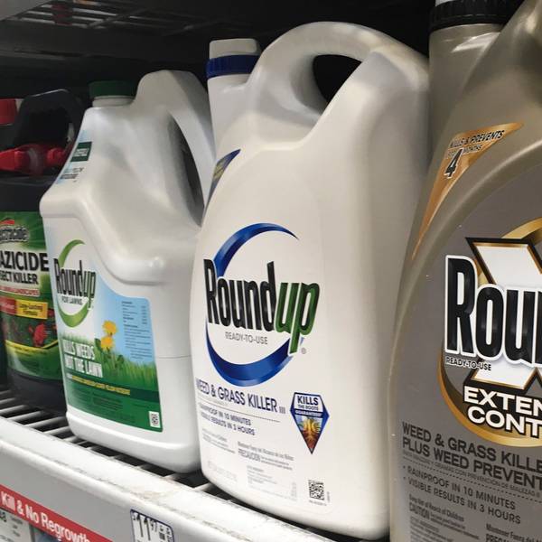 ARCHIV - 23.02.2019, USA, San Francisco: Kanister mit Roundup stehen in einem Ladenregal in San Francisco. (Illustration zu "US-Geschworene sprechen Glyphosat-Kläger 2,2 Milliarden Dollar zu") Foto: Haven Daley/AP/dpa +++ dpa-Bildfunk +++