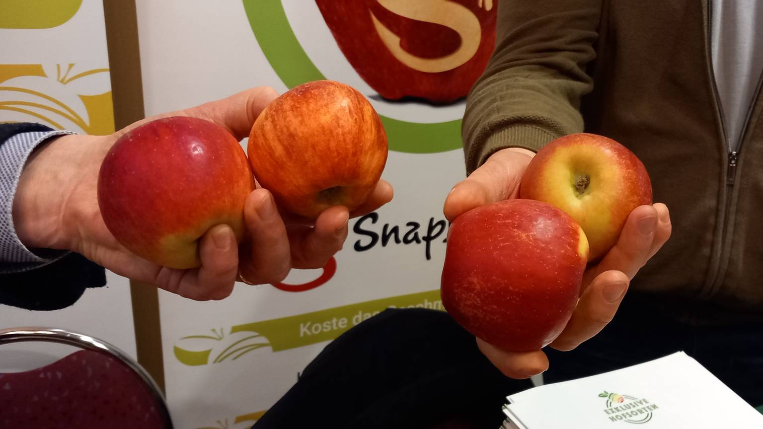 Beim Rheinischen Obstbautag im Hotel Görres in Villip vorgestellt: Elstar EHS (mit Streifen) und Snap Dragon