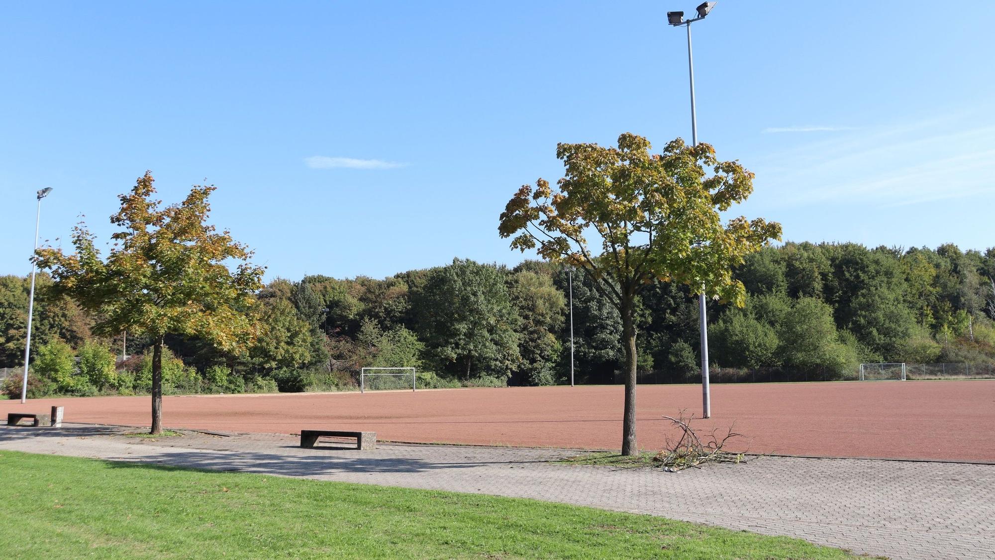 Blick auf einen großen Aschenplatz mit Bäumen im Hintergrund