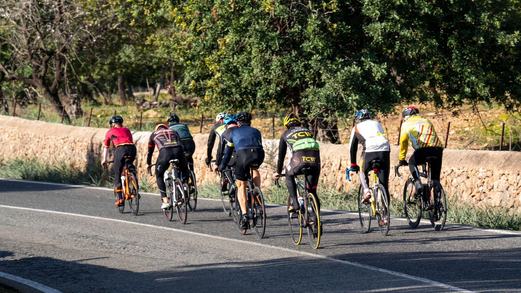 Rennradfahrer auf Mallorca. In den Wintermonaten trainieren hier auch viele Deutsche. Ein 70-jähriger Radler starb bei Sineu.