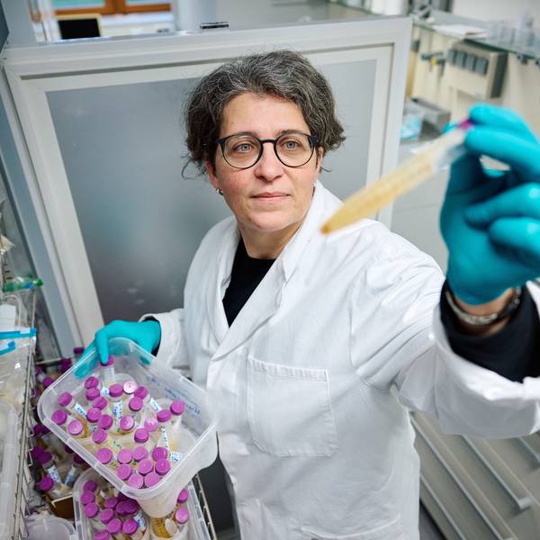Toxikologin Yvonni Chovolou vom Landesamt für Natur, Umwelt und Verbraucherschutz konnte mit ihrem Team den Weichmacher Di-n-hexyl-Phthalat (DnHexP) in vielen Urinproben von Kleinkindern aus NRW nachweisen
