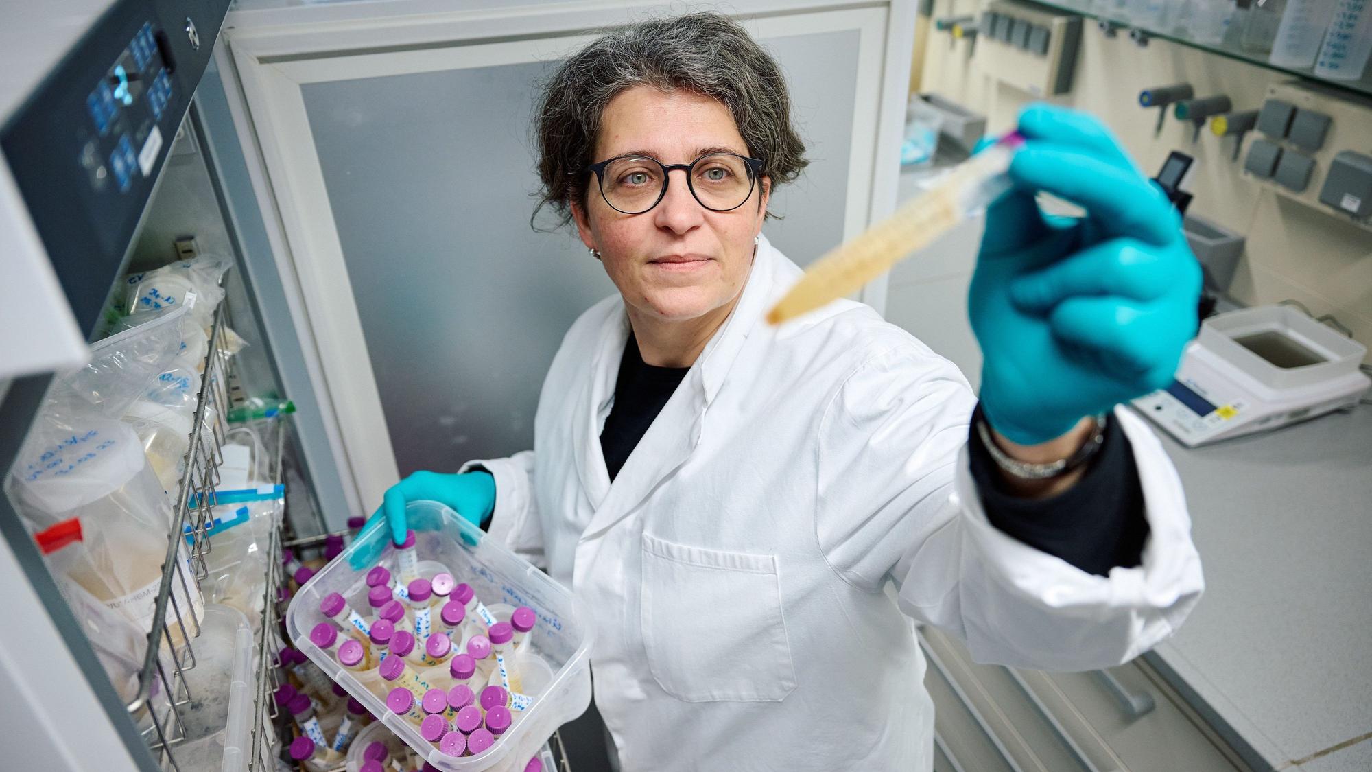 Toxikologin Yvonni Chovolou vom Landesamt für Natur, Umwelt und Verbraucherschutz konnte mit ihrem Team den Weichmacher Di-n-hexyl-Phthalat (DnHexP) in vielen Urinproben von Kleinkindern aus NRW nachweisen