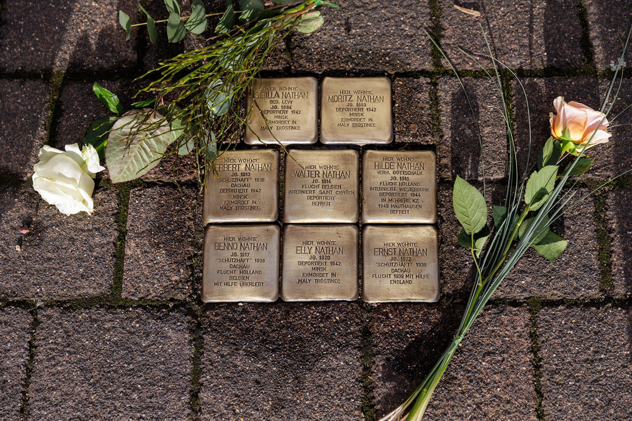 Die Stolpersteine der Familie Nathan in Sindorf, daneben liegen Rosen.