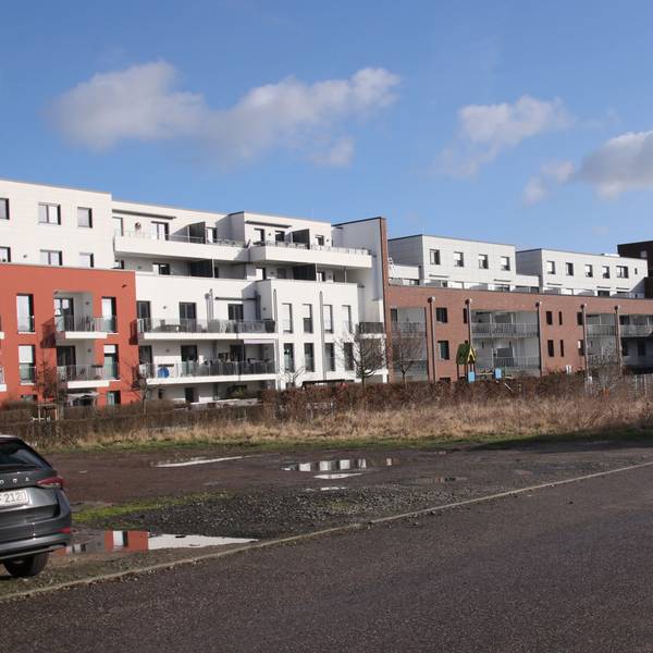 Auf dem Bild ist ein Grundstück zu sehen.