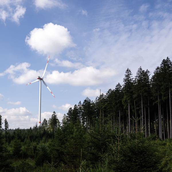 Ein Windrad steht auf einer Waldlichtung