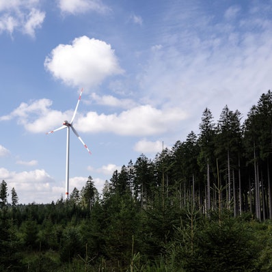 Ein Windrad steht auf einer Waldlichtung