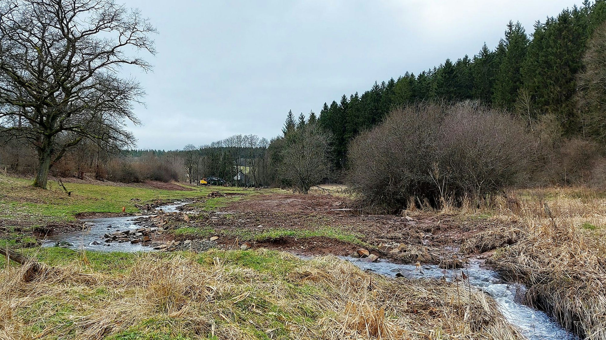 Das Bild zeigt den renaturierten Bach Berke bei Dahlem.