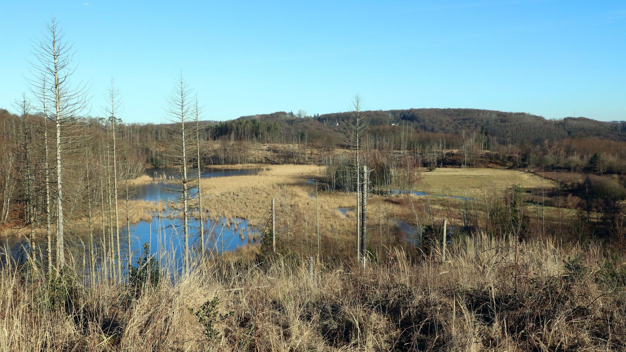 Blick auf ehemalige Klärteiche der Erzgrube Lüderich