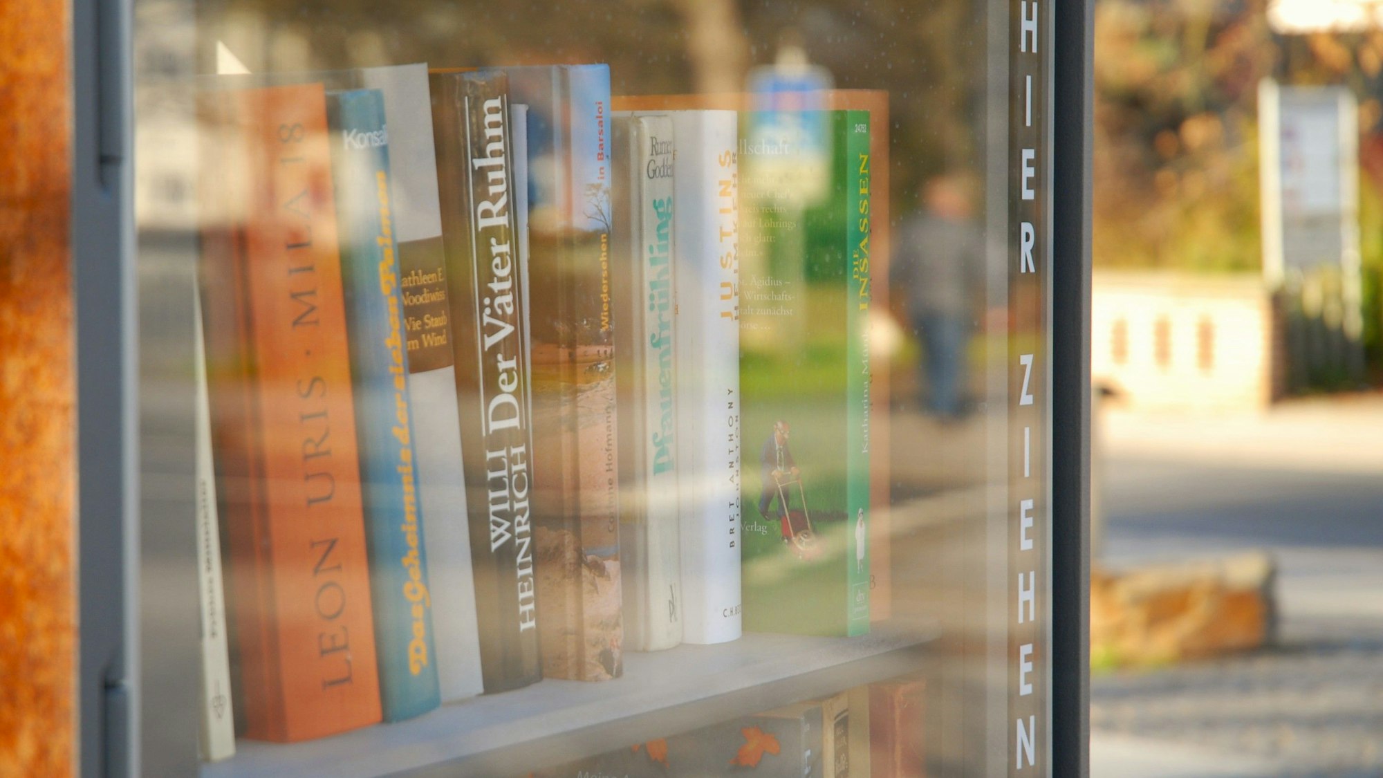 Bücher stehen in einem Schrank mit gläserner Tür.