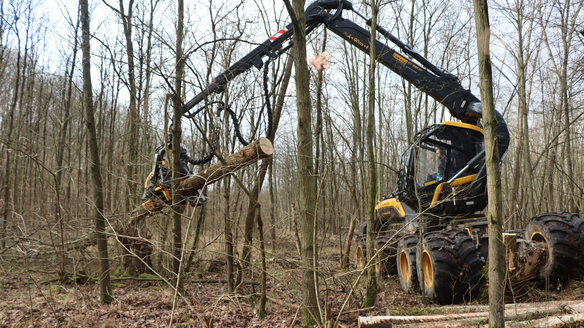 Auf dem Foto ist ein Harvester, eine Baumaschine, zu sehen. Mit dem Arm hebt sie einen Baumstamm aus dem Unterholz.