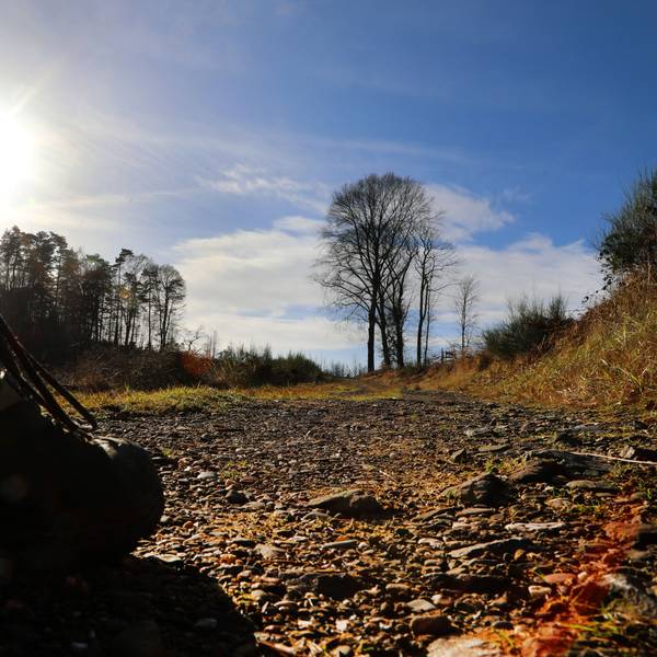 Wanderschuh auf dem Weg ins Tal, im Hintergrund scheint die Sonne