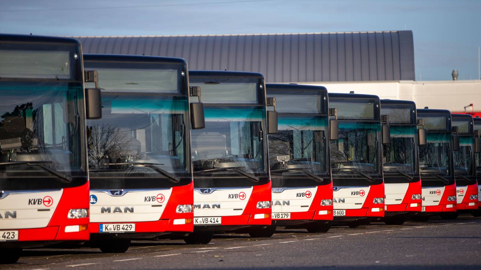 Linienbusse sind auf dem Betriebshof der KVB aufgereiht.