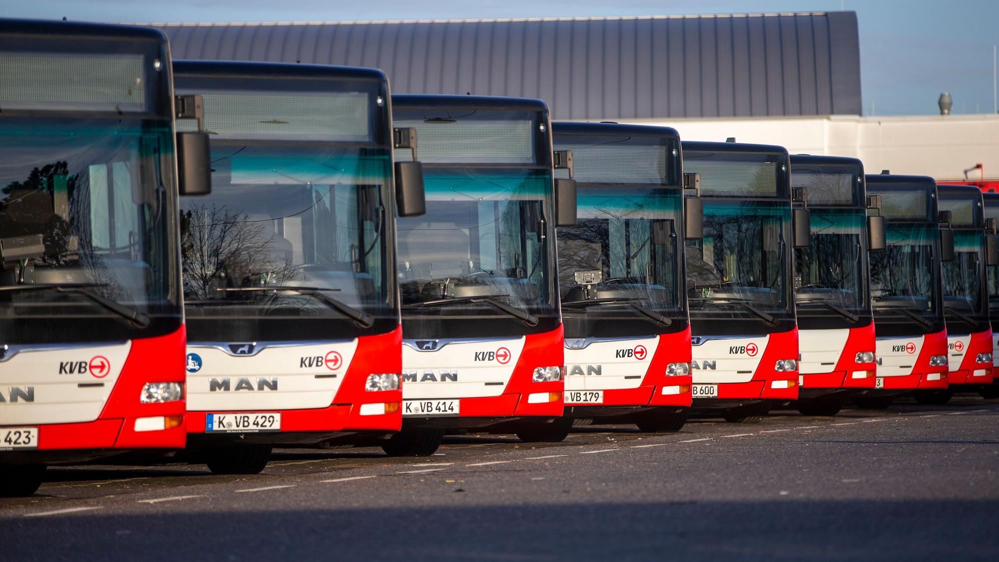 Linienbusse sind auf dem Betriebshof der KVB aufgereiht.