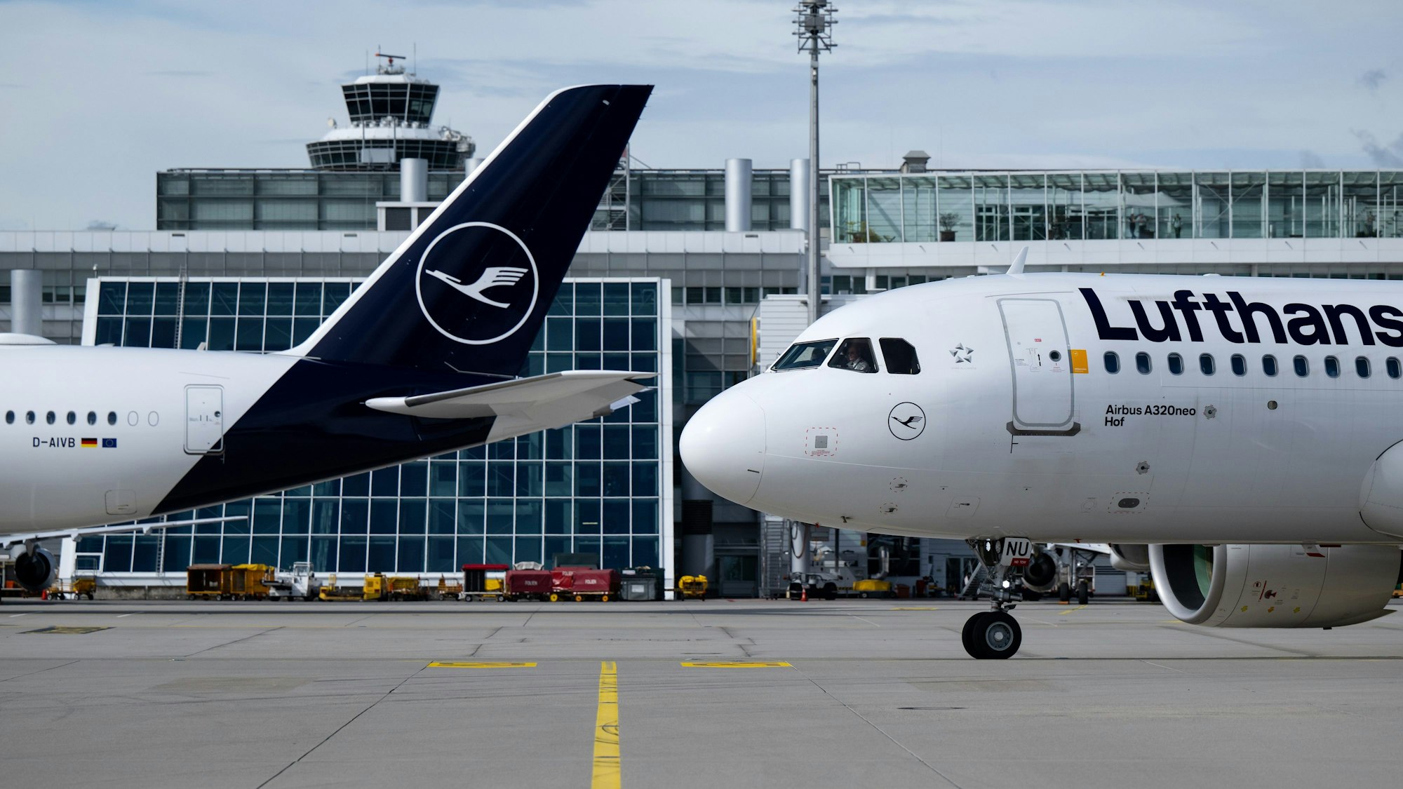 ARCHIV - 15.09.2022, Bayern, München: Flugzeuge der Lufthansa stehen am Flughafen München auf dem Rollfeld. (zu dpa: «Streik des Lufthansa-Bodenpersonals betrifft auch München») Foto: Sven Hoppe/dpa +++ dpa-Bildfunk +++