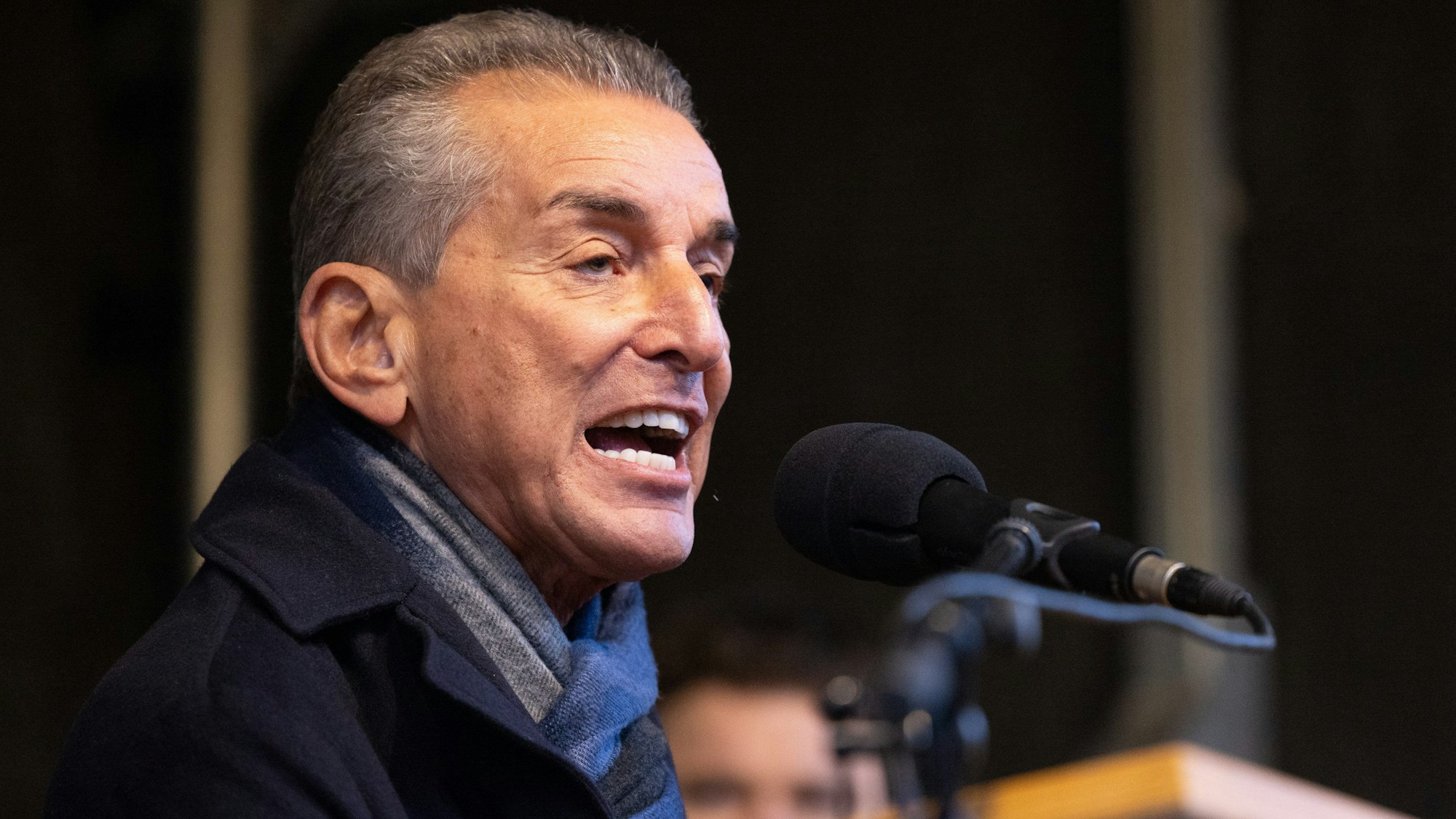 Michel Friedman, Publizist