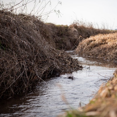 Das Bild zeigt einen Abschnitt des Vlattener Bachs.