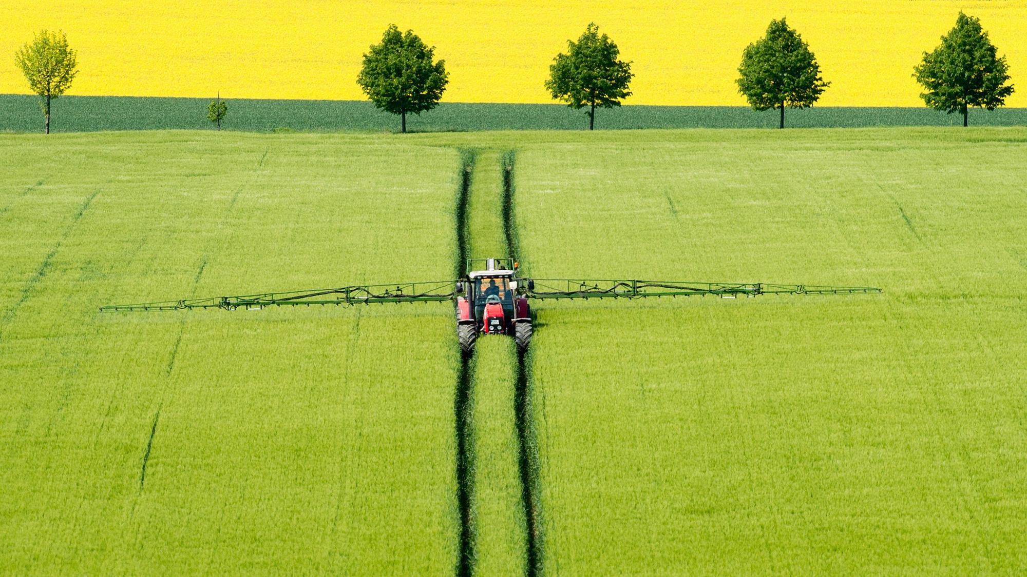 Ein Landwirt fährt mit einem Traktor über ein Gerstenfeld und versprüht Pflanzenschutzmittel.
