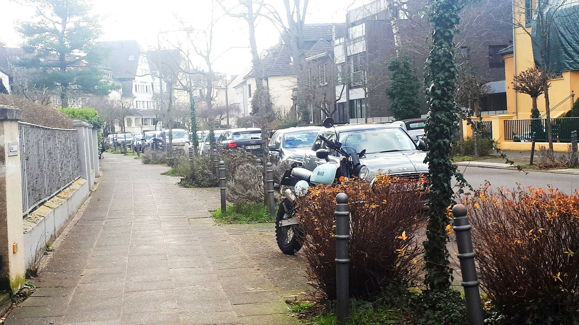 Blick auf eine Straße mit braunen Sträuchern