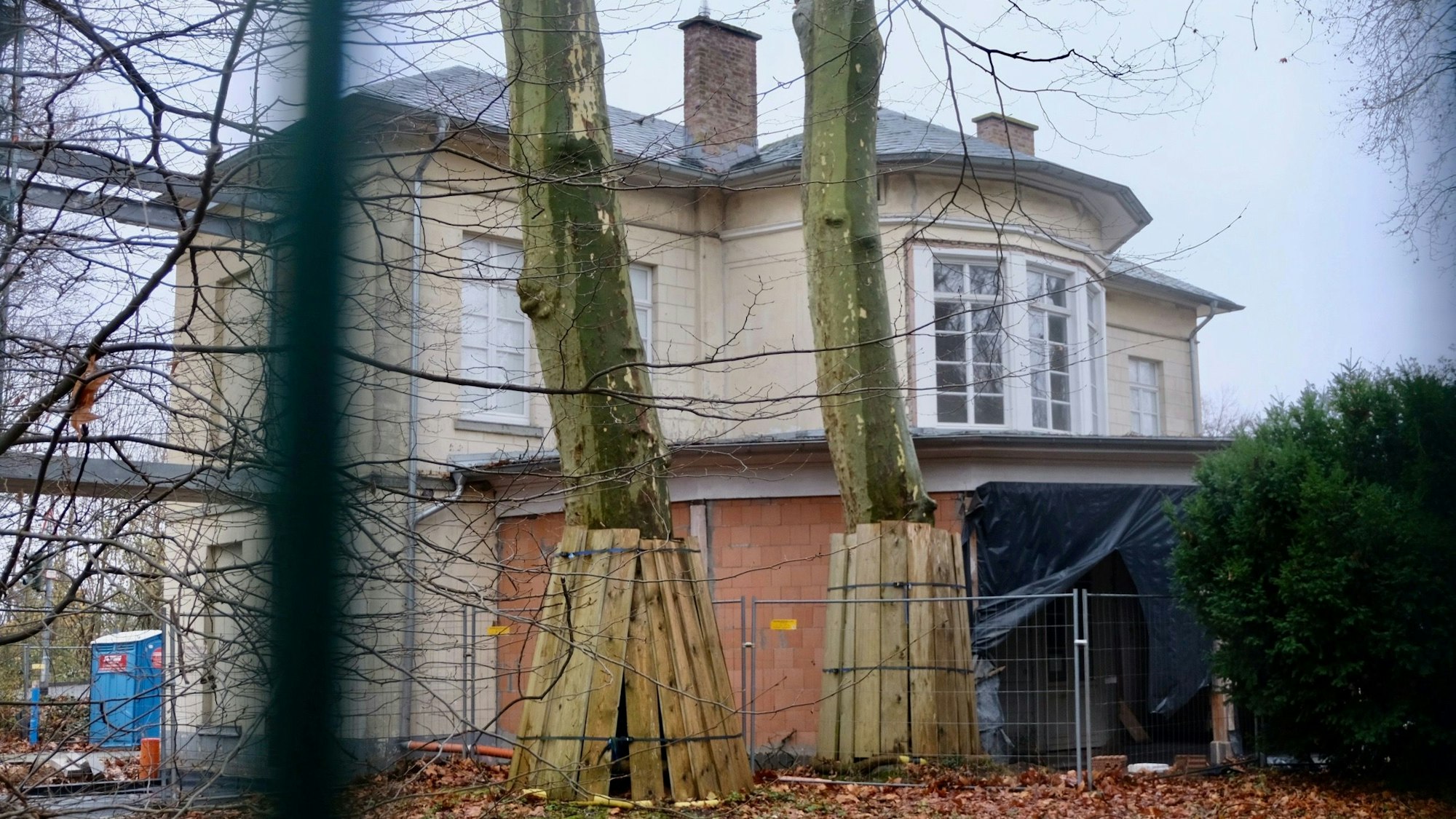 Blick auf ein altes Gebäude mit zwei Platanen im Vordergrund