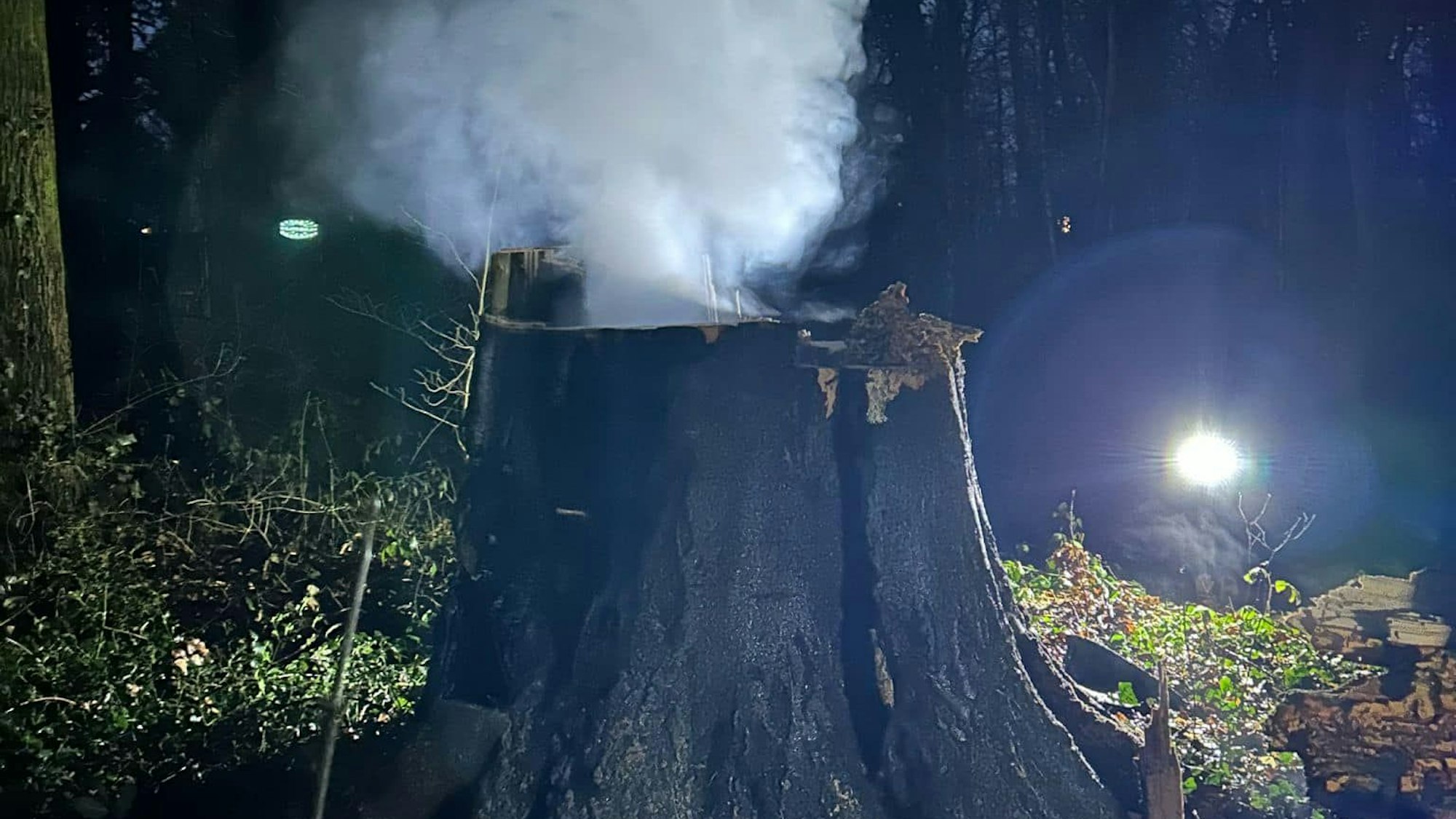Auf dem Foto ist der abgesägte Baum zu sehen. Ein Stumpf ist stehen geblieben.