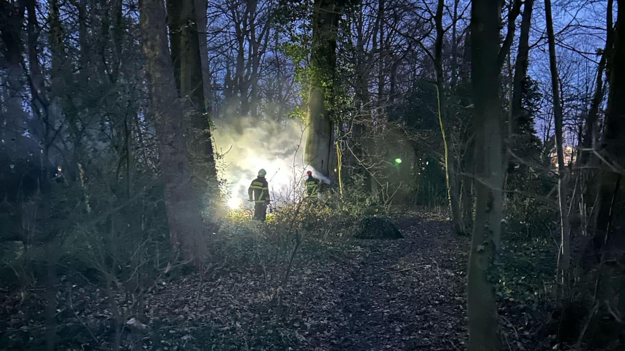 Feuerwehrleute löschen das Feuer in dem Park.