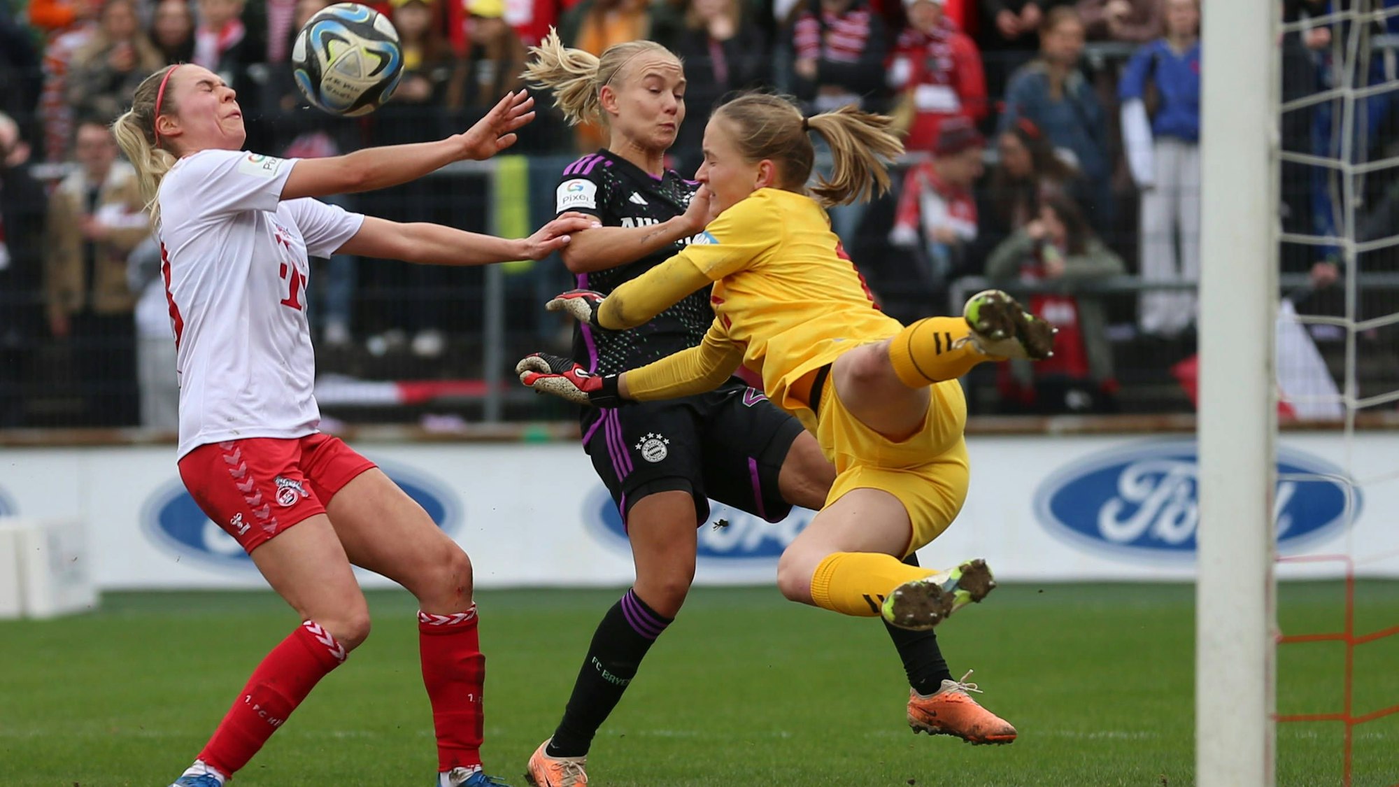 Germany, Koeln, 10.02.2024, Franz-Kremer-Stadion, 1. FC Koeln - FC Bayern Muenchen - Frauen Bundesliga, Janina Hechler 1. FC Koeln, Pernile Harder FC Bayern München und Torfrau Paula Hoppe 1. FC Koeln battle for the ball Cologne Franz-Kremer-Stadion North Rhine-Westphalia Germany *** Germany, Cologne, 10 02 2024, Franz Kremer Stadion, 1 FC Koeln FC Bayern Muenchen Frauen Bundesliga, Janina Hechler 1 FC Koeln , Pernile Harder FC Bayern München and goalkeeper Paula Hoppe 1 FC Koeln battle for the ball Cologne Franz Kremer Stadion North Rhine Westphalia Germany eu-images-678