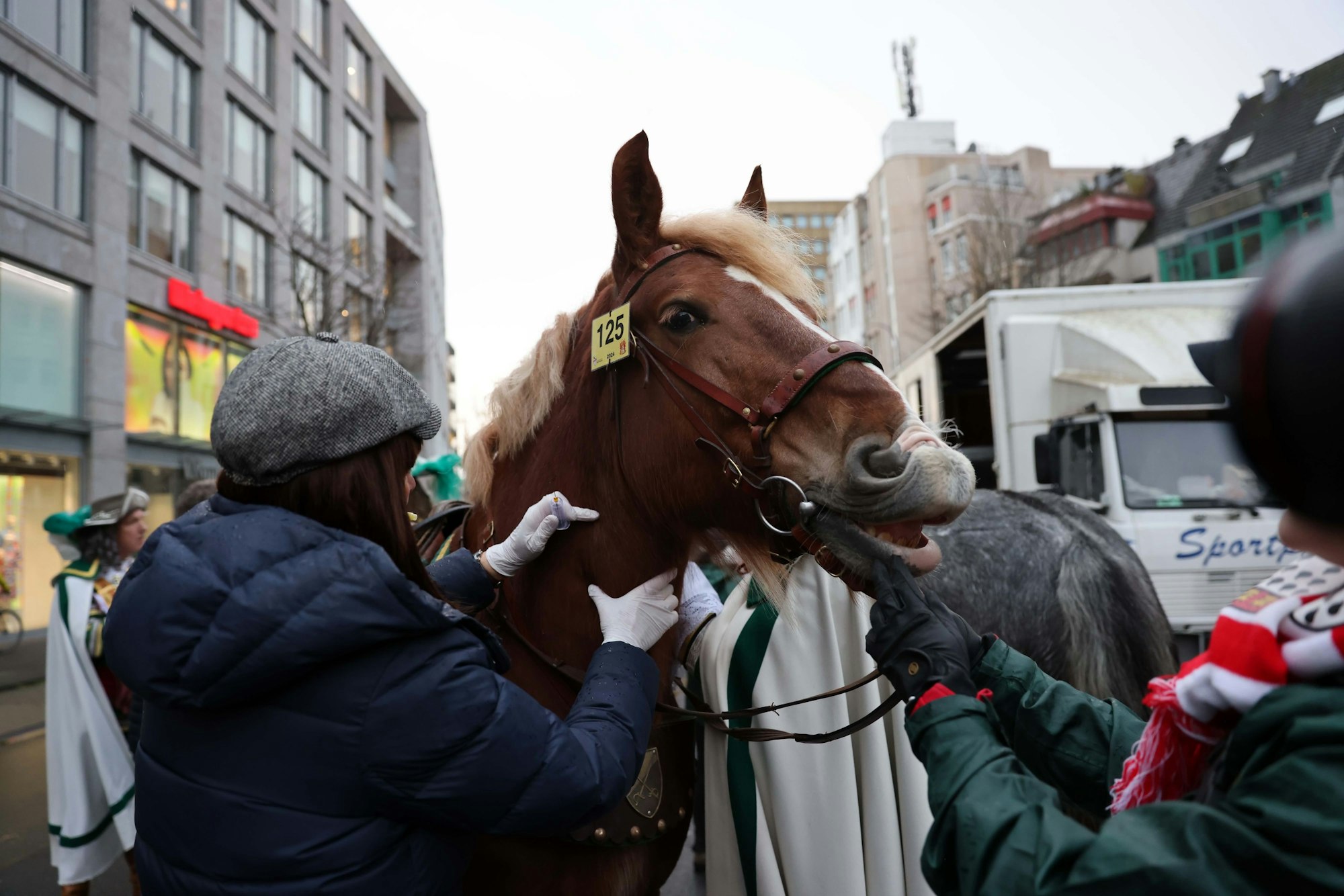 Auch Jadi muss sich der Pferdekontrolle stellen.