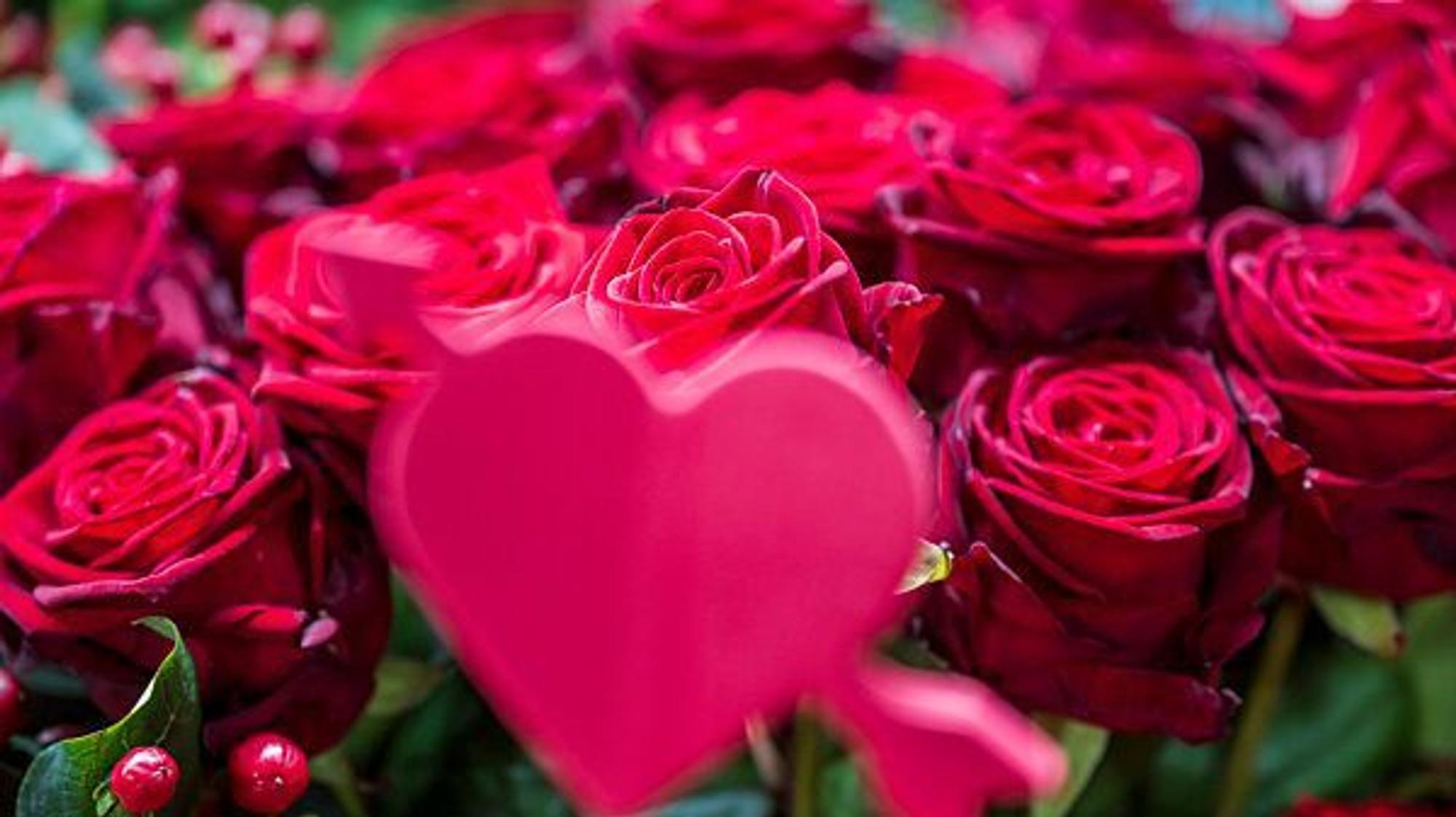 Ein rosa Herz aus Kunststoff steckt in einem Strauss roter Rosen in einem Blumengeschäft auf dem Viktualienmarkt vor dem Valentinstag.