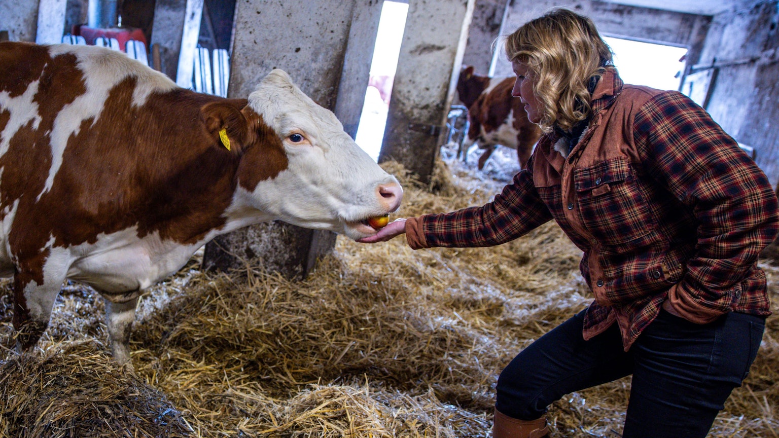 Steffi Lemke (Bündnis 90/Die Grünen), Bundesministerin für Umwelt, Naturschutz, nukleare Sicherheit und Verbraucherschutz, besucht einen ökologisch bewirtschafteten Milchviehbetrieb