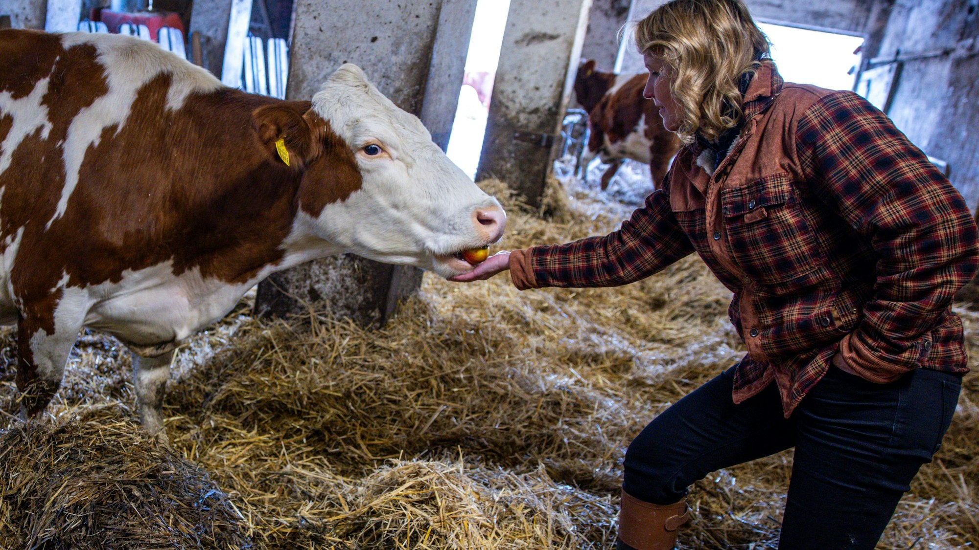 Steffi Lemke (Bündnis 90/Die Grünen), Bundesministerin für Umwelt, Naturschutz, nukleare Sicherheit und Verbraucherschutz, besucht einen ökologisch bewirtschafteten Milchviehbetrieb