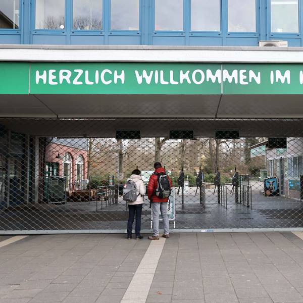 Der Haupteingang des Kölners Zoos am helllichten Tag geschlossen: Das ist ein sehr seltenes Bild.