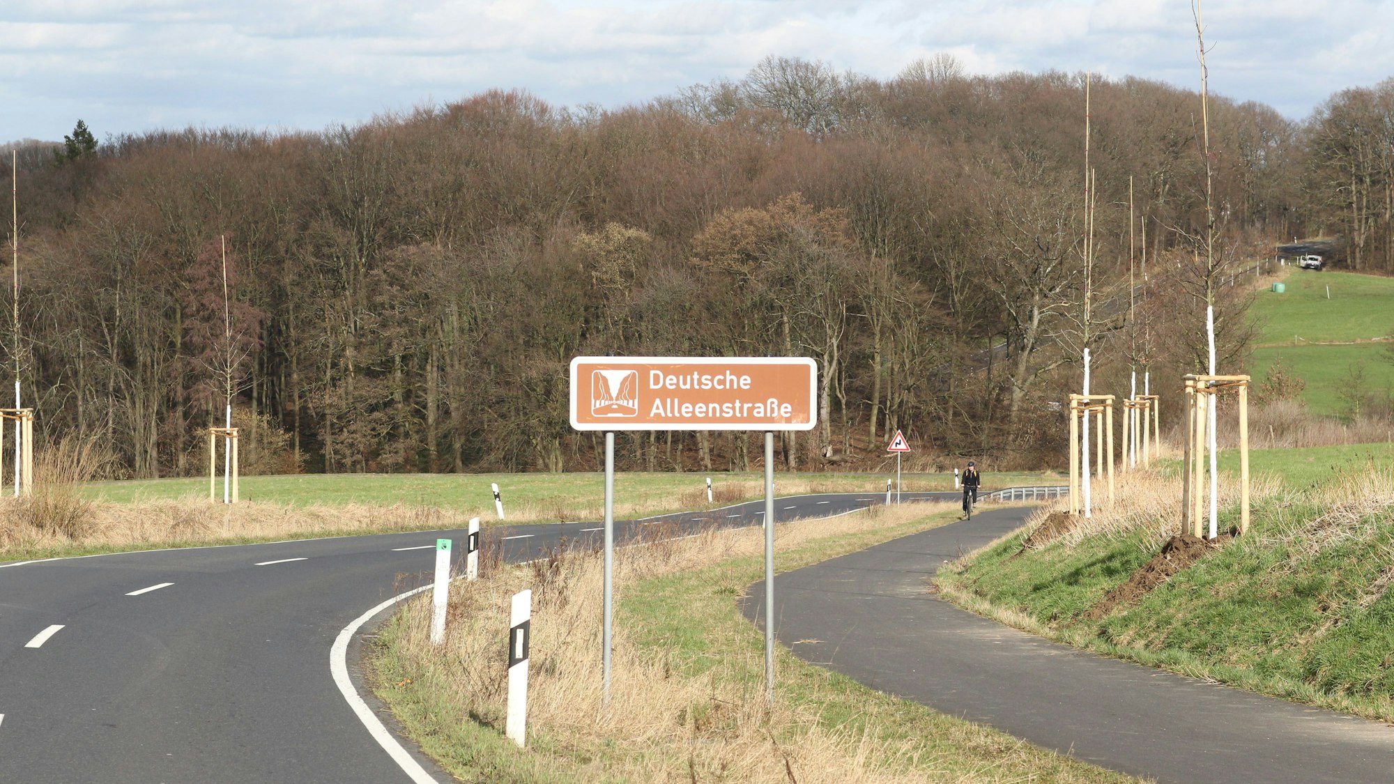 Zwischen Heisterschoß und Wolperath macht das Hinweisschild „Deutsche Alleenstraße“ auch endlich Sinn.