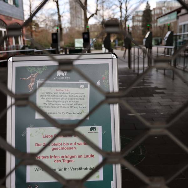 Der Zoo in Köln ist derzeit wegen des Ausbruchs der Vogelgrippee geschlossen. Hinter dem geschlossenen Gitter steht eine Hinweistafel.