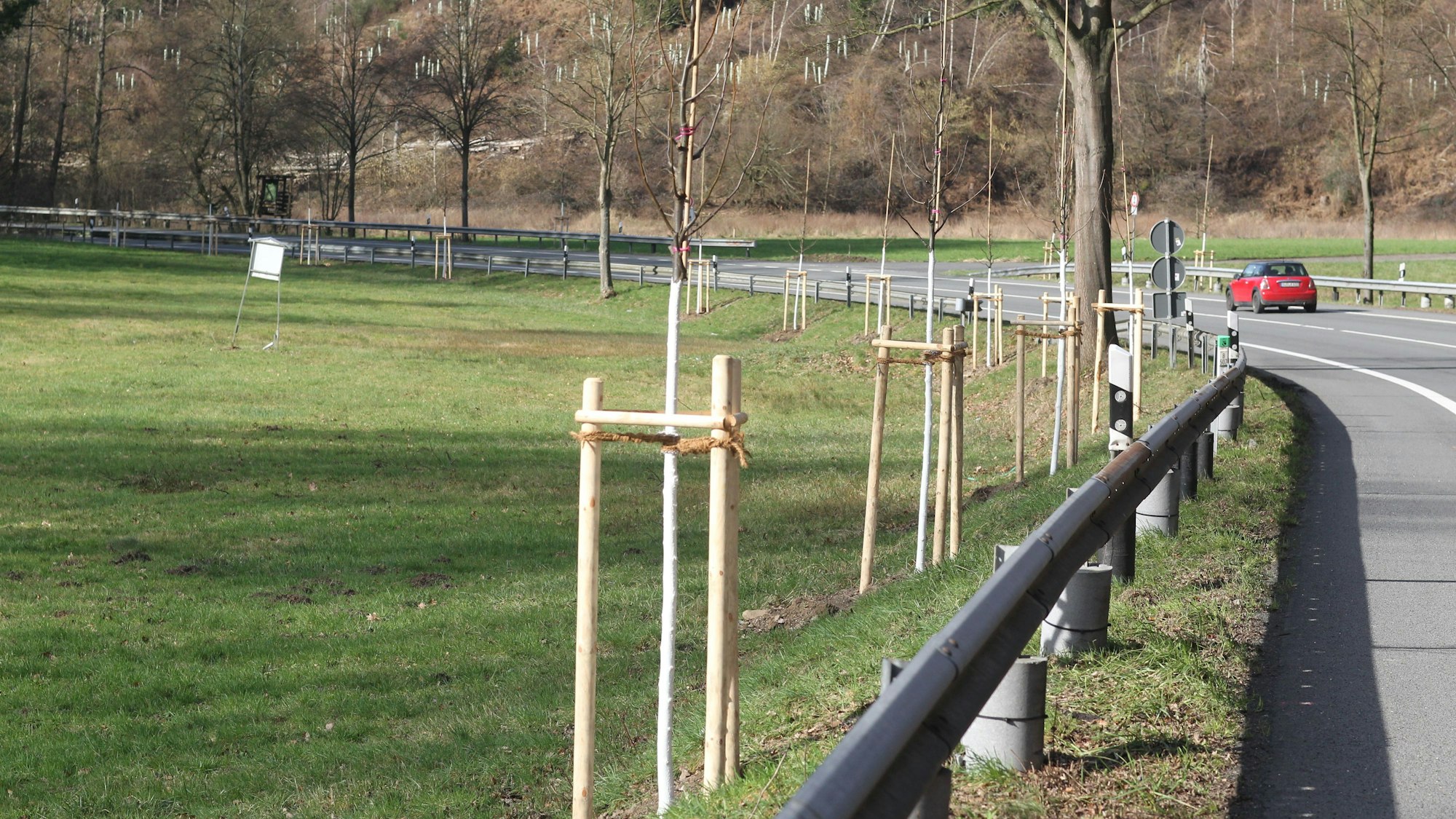 Im Jabachtal stehen 125 neue Bäume.