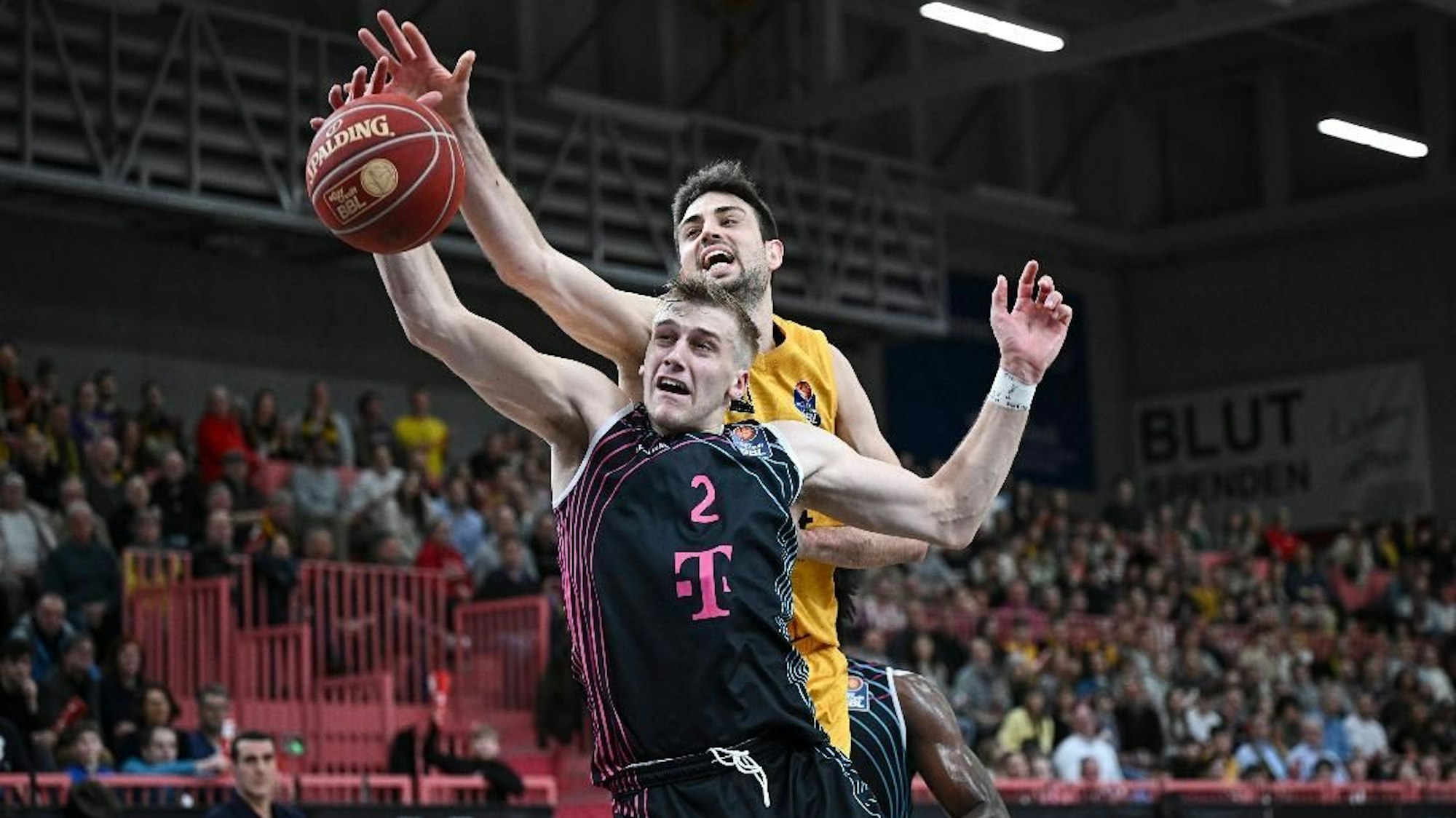 Bonns Sam Griesel (vorne) und Mateo Seric (Tübingen) kämpfen hier um den Ball.