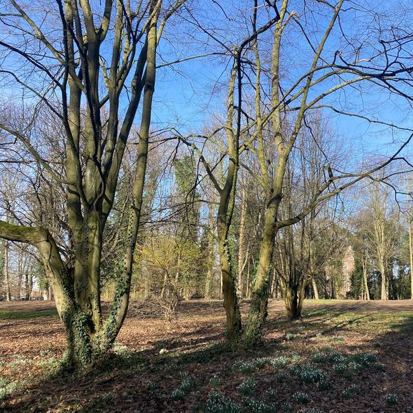 Der Bedburger Schlosspark wurde nach Abholzungen und Umbauarbeiten nun wieder für Spaziergänger geöffnet. Die Stadt warnt aber vor matschigen Wegen.