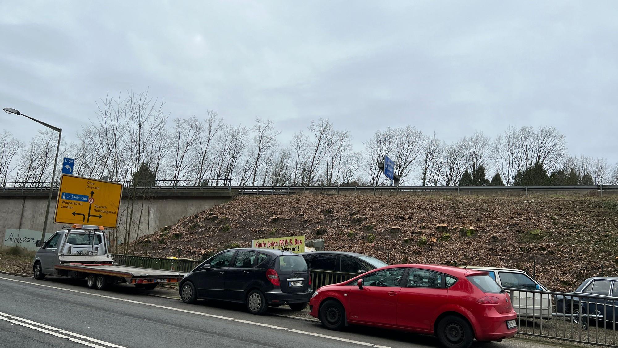Im März beginnen die Arbeit zum Abriss und Neubau der A4-Brücke in Untereschbach. Erste Bäume an der Böschung wurden bereits gefällt.