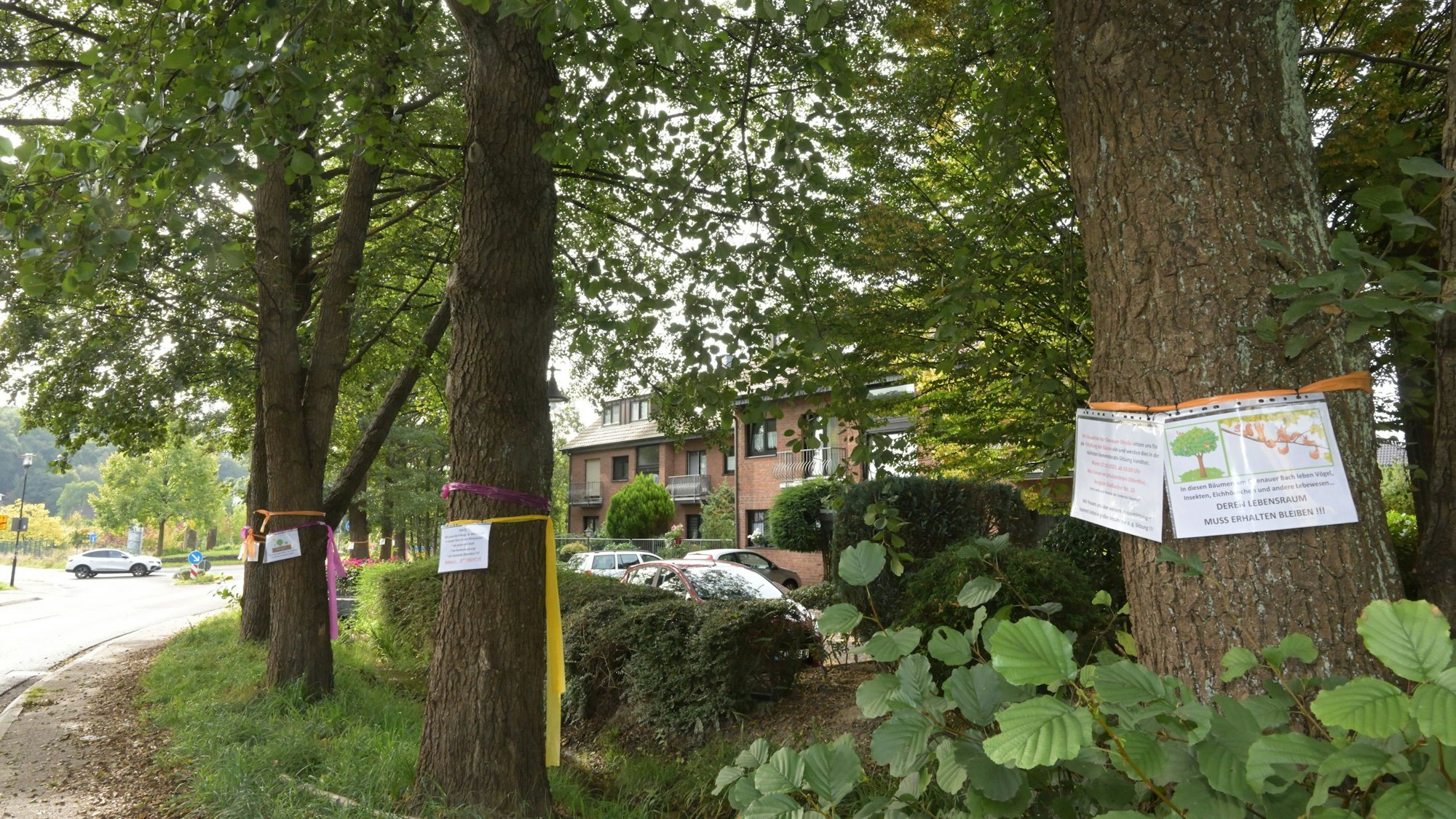 Baumstämme an einem kleinen Bach sind mit bunten Lebensbändern umwickelt.
