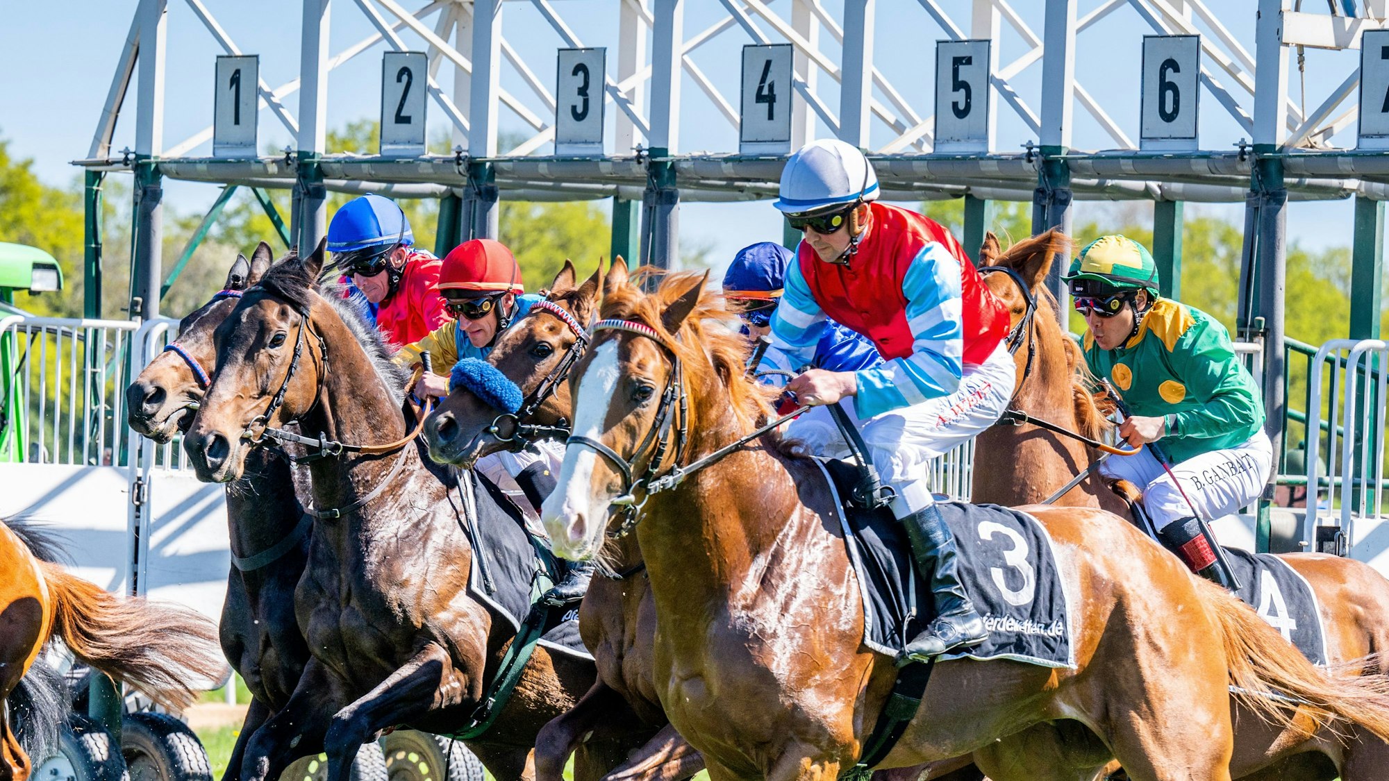 Reiter sitzen auf ihren galoppierenden Pferden. (Archivbild)