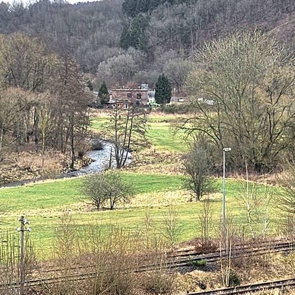 Blick auf das Tal der Olef zwischen Schleiden und Olef.
