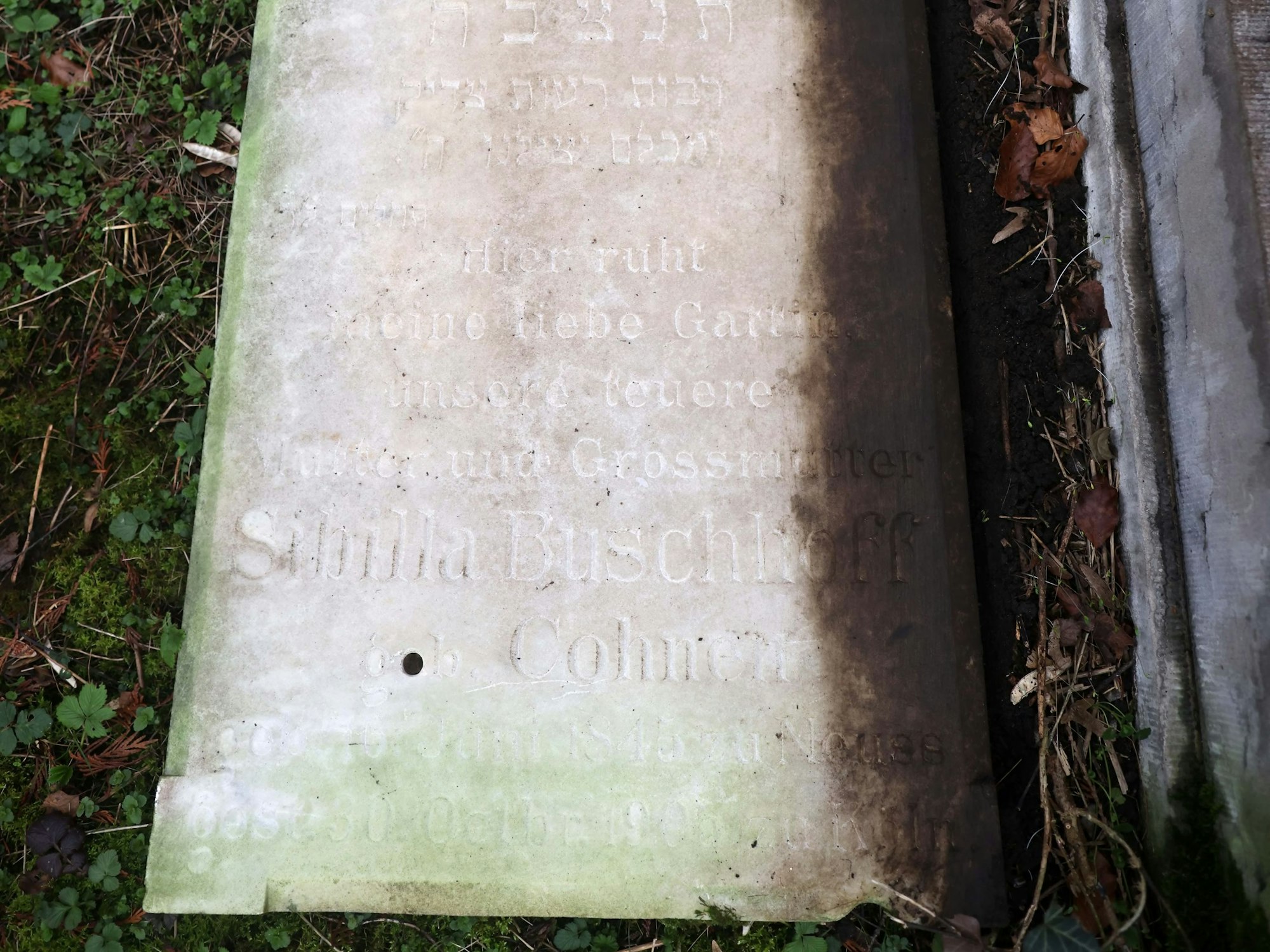 Köln, RSK, Spurensuche Adolf Buschhoff