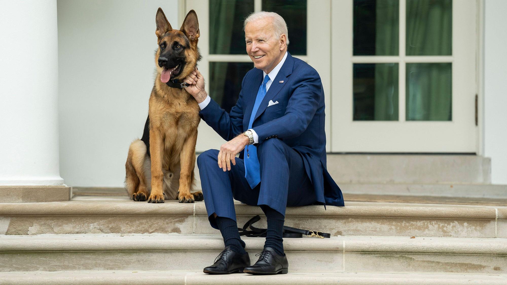 US-Präsident Joe Biden im September 2022 zusammen mit seinem Hund Commander.