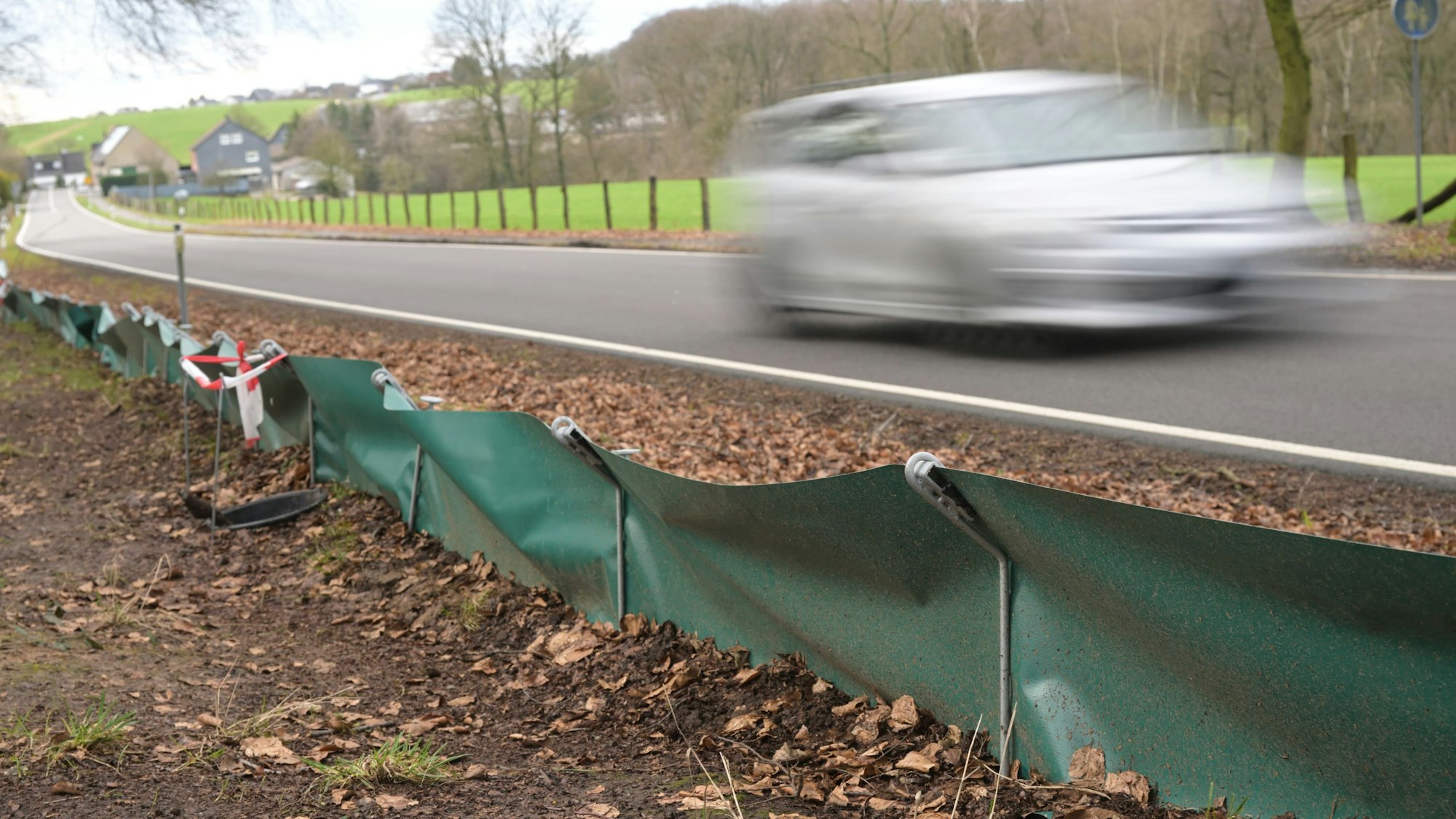 Amphibien-Schutzzäune stehen an der Landstraße in Odenthal-Landwehr. Ein Auto fährt vorbei.