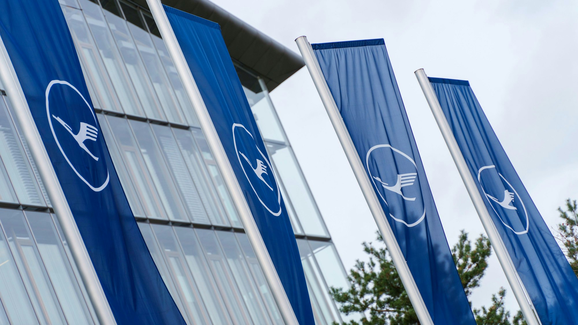 21.02.2024, Hessen, Frankfurt/Main: Lufthansa-Flaggen wehen vor dem Lufthansa-Aviation-Center im Wind. (zu dpa: «Lufthansa und Verdi verhandeln weiter») Foto: Andreas Arnold/dpa +++ dpa-Bildfunk +++